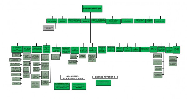 Organigrama