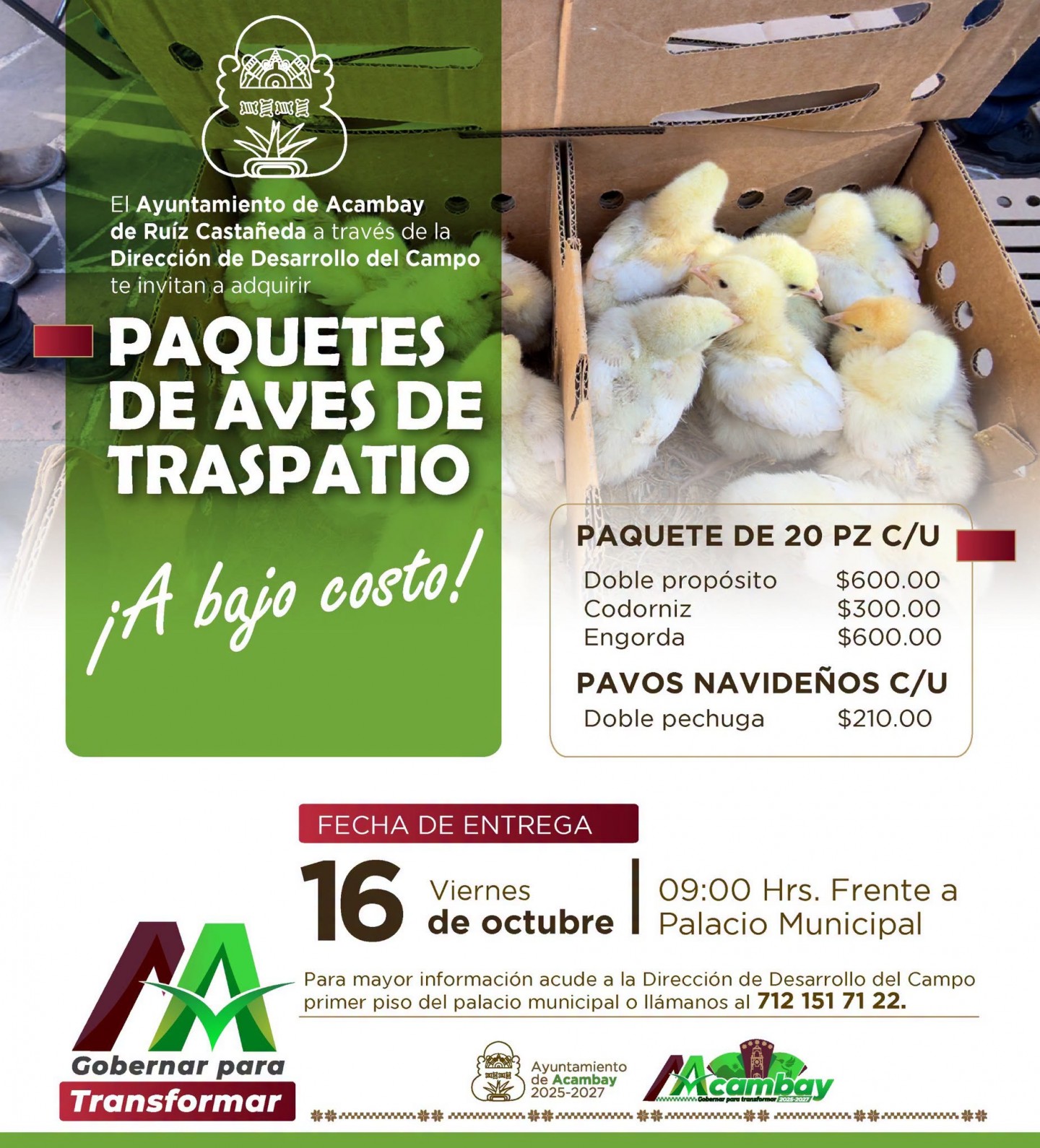 PaquetePollosOc